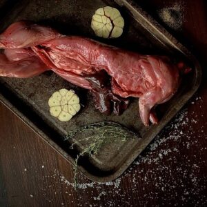 Rabbit